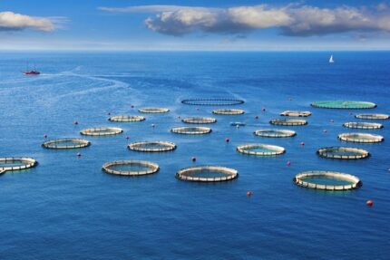 AQUACULTURE